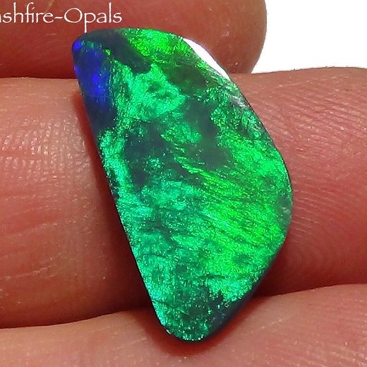 ブラックオパール 4.8ct - オパール専門店　Flashfire-Opals-Japan