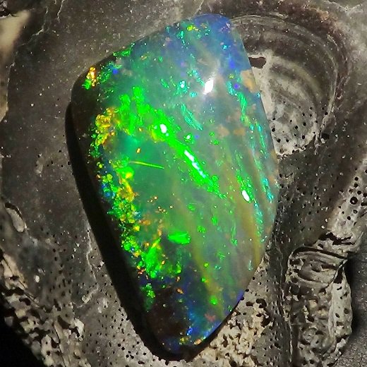 ボルダーオパール 42.9ct - オパール専門店　Flashfire-Opals-Japan