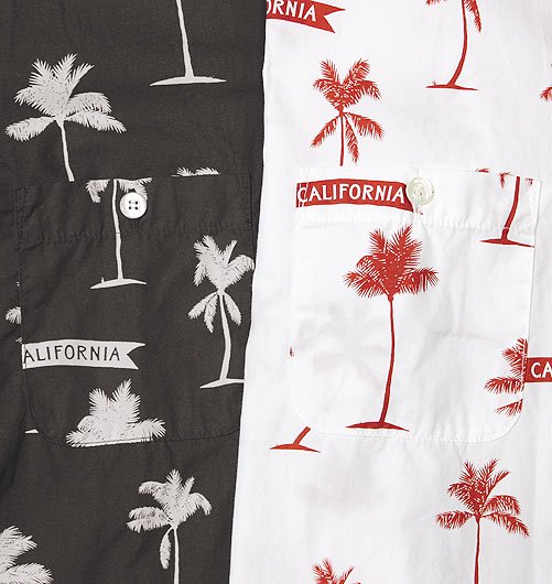 SD PALM TREE SHIRT FABRIC DESIGNED BY JEFF CANHAM（SDパームツリー