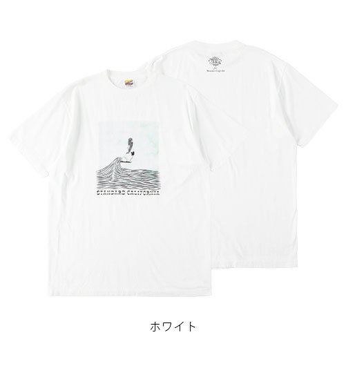 Matthew Allen×SD Logo T（マシューアレン×SDロゴティー