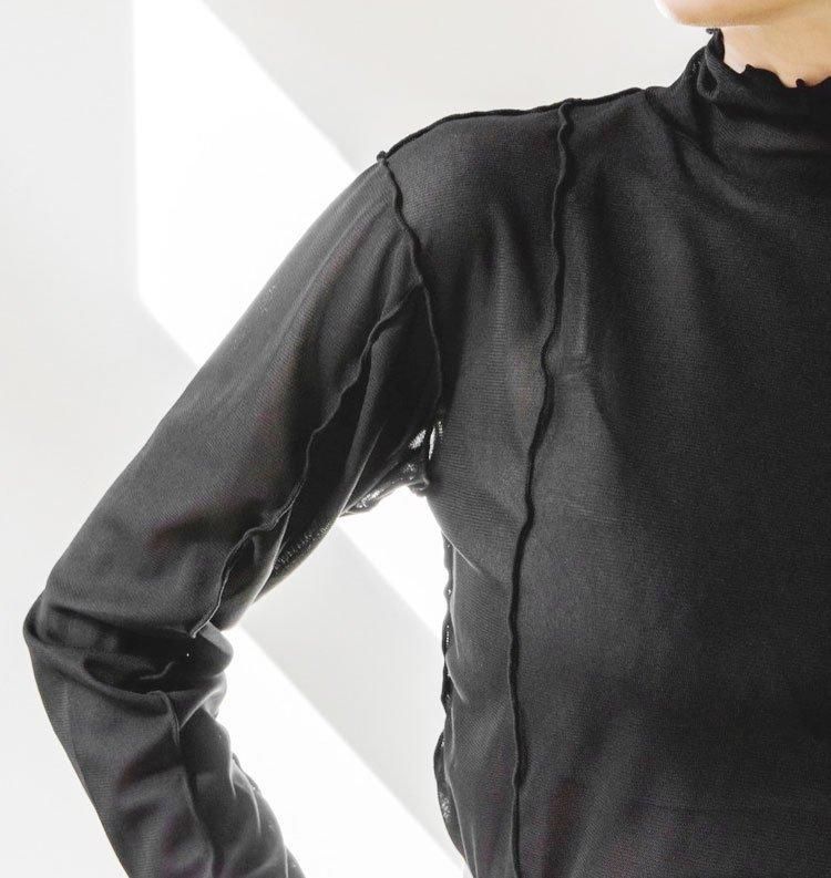 Sheer Highneck Tops（シアーハイネックトップス） - AgAwd
