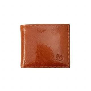 å<br>IL BISONTEʥӥơ