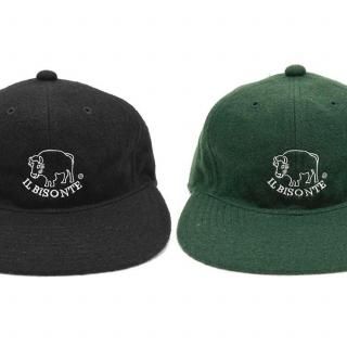 ١ܡ륭å<br>IL BISONTEʥӥơ