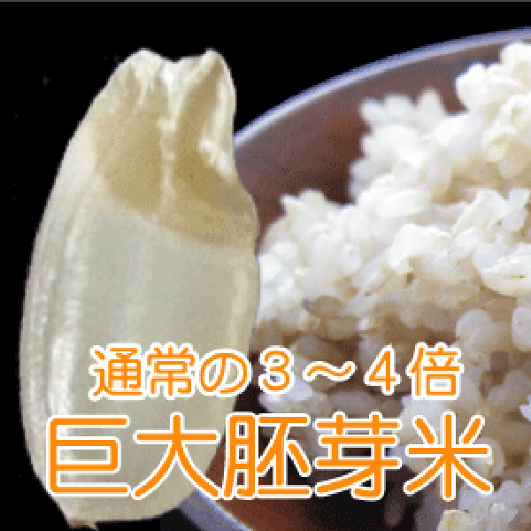 白宝の玄米