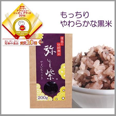 弥生紫01