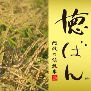 伝統米　徳ばん　玄米　２ｋｇ（令和３年産）農薬不使用・化学肥料不使用・低温乾燥
