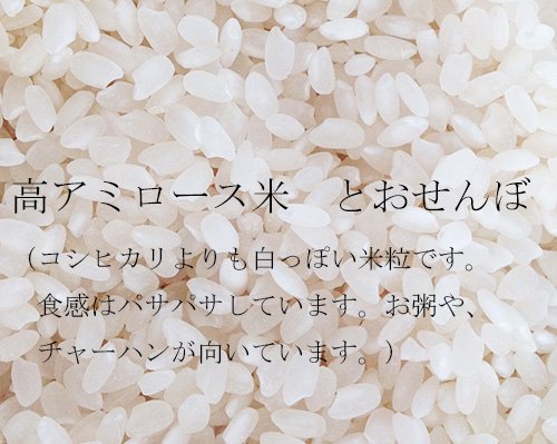 高アミロース米 とおせんぼ 精白米1ｋｇ（令和４年産）農薬不使用・化学肥料不使用 - なかがわ野菊の里｜オンラインショップ