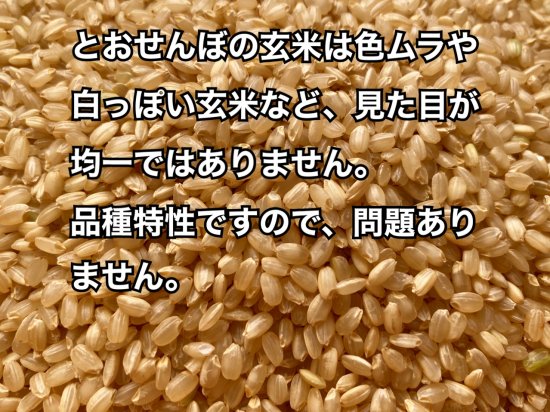 高アミロース米　とおせんぼ　玄米1ｋｇ（令和４年産）農薬不使用・化学肥料不使用 - なかがわ野菊の里｜オンラインショップ