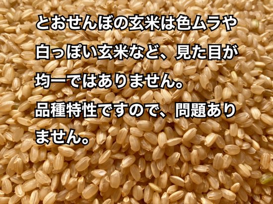 高アミロース米　とおせんぼ 玄米2ｋｇ（令和４年産）農薬不使用・化学肥料不使用 - なかがわ野菊の里｜オンラインショップ