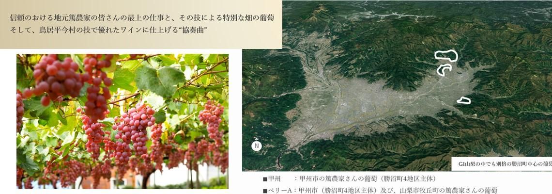 ≪希望小売より15％OFF≫鳥居平今村 アンサンブル赤白2本セット
