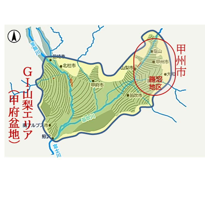 鳥居平今村／ベーリーA ヌーヴォー 2023 《2023年11月3日以降のお届け