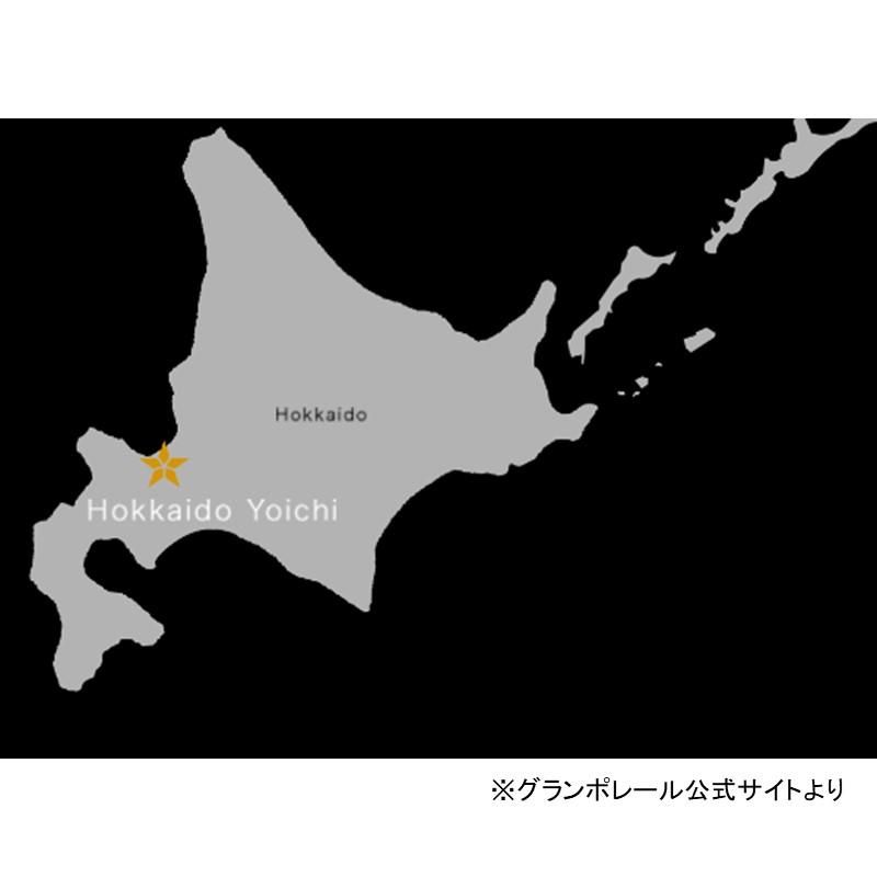 12本1ケース 希少品 日本ワイン 2021 リッチ 12本1ケース 希少品 日本ワイン 2021 リッチ