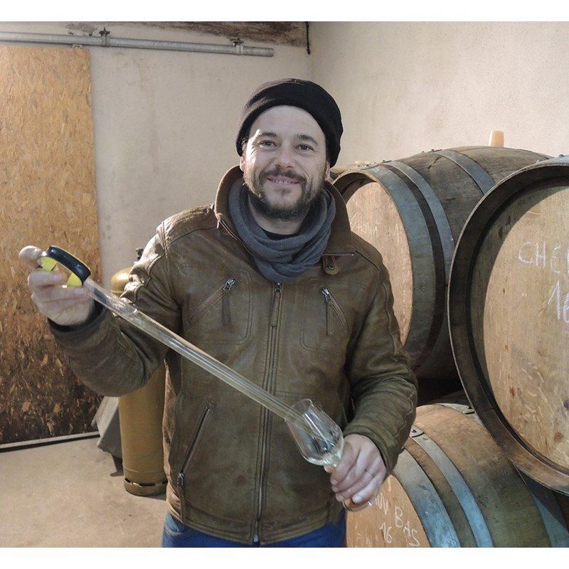 ウージェーヌ・バブレーヌ、「メロンと葡萄」、希少画集・額装画