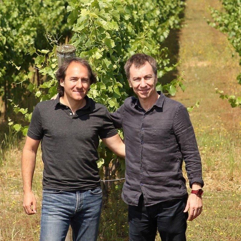 ベティッグ / ヴィーノ・デ・リージョン カベルネ・ソーヴィニヨン