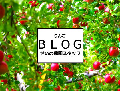 せいの農園ブログ