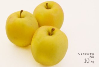 （常温）葉とらずりんご「もりのかがやき」約10kg大玉サイズ（約24〜28個）