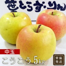 （常温）葉とらずりんご「こうこう」5kg（中玉14〜16個）