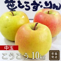 （常温）葉とらずりんご「こうこう」10kg（中玉28〜32個）
