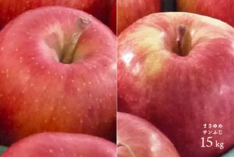 （常温）葉とらずりんご「まさゆめ・サンふじ」約15kg（約36〜60個）