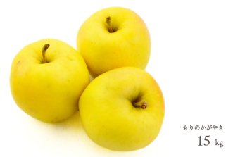 （常温）葉とらずりんご「もりのかがやき」約15kg（約42〜60個）※2023年度の販売は終了いたしました 