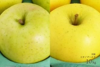 送料込】【B品】葉とらずりんご シナノゴールド 約20kg