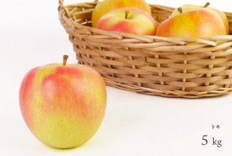（常温）葉とらずりんご「トキ」5kg（約16〜20個入）