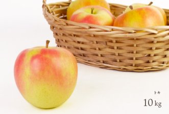 （常温）葉とらずりんご「トキ」10kg（約32〜40個入）