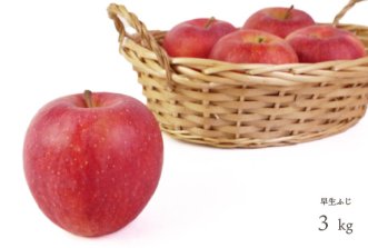 （常温）葉とらずりんご「早生ふじ」3kg（約8〜12個入）