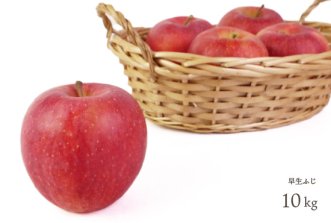 （常温）葉とらずりんご「早生ふじ」10kg（約28〜46個入）