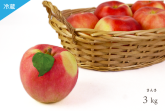 （冷蔵）葉とらずりんご「さんさ」3kg（約9〜13個入）2023年度の販売は終了しました