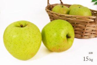 （常温）葉とらずりんご「王林」15kg（約39〜60個）