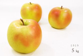 （常温）葉とらずりんご「こうこう」5kg（大玉10〜13個）