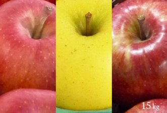 （常温）旬の葉とらずりんご詰合せ15kg（約39〜60個）