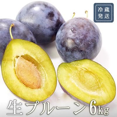 完熟生プルーン 6kg 完熟生プルーン 6kg