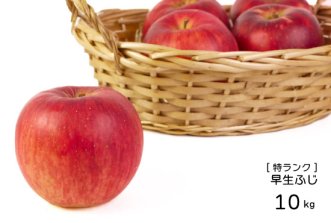 （常温） 特ランク 葉とらずりんご「早生ふじ」10kg（約28〜40個入）※販売は未定です