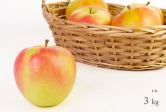（常温）葉とらずりんご「トキ」3kg（約9〜12個入）