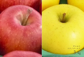（常温）葉とらずりんご「サンふじ」「シナノゴールド」詰合せ3kg（８〜12個）