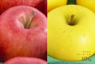 （常温）葉とらずりんご「サンふじ」「シナノゴールド」詰合せ10kg（26〜40個）