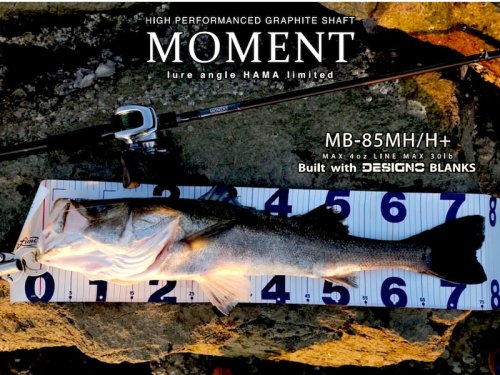 完売しました次回2025年以降】MOMENT MB-85MH/H+ build withDESIGNO