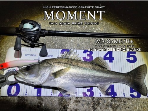 完売しました次回2026年以降】MOMENT MB-85MH/H+ build withDESIGNO blanks HAMAオリジナルロッド -  lure angle HAMA オンラインストア