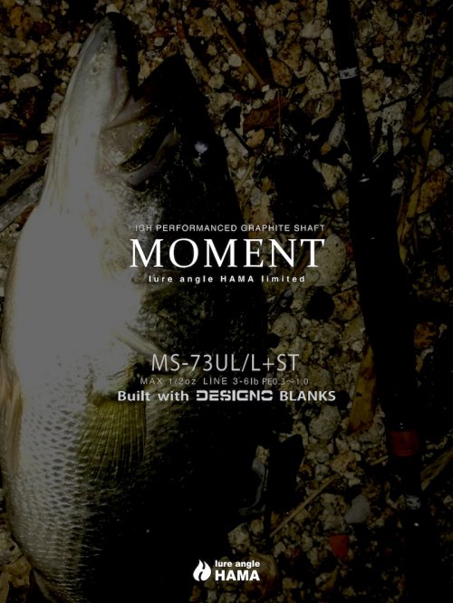 MOMENT モーメント MS-73UL/L +ST - ロッド