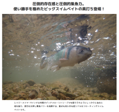 HAMA饤󥹥ȥʡLazy Swimmer 9inch쥤ޡ9ޥ/IMAKATSU