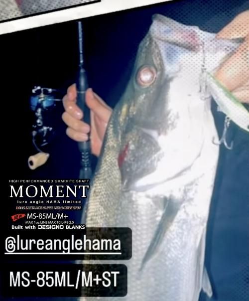 残り僅か】MOMENT MS-85ML/M+ST build withDESIGNO blanks HAMA