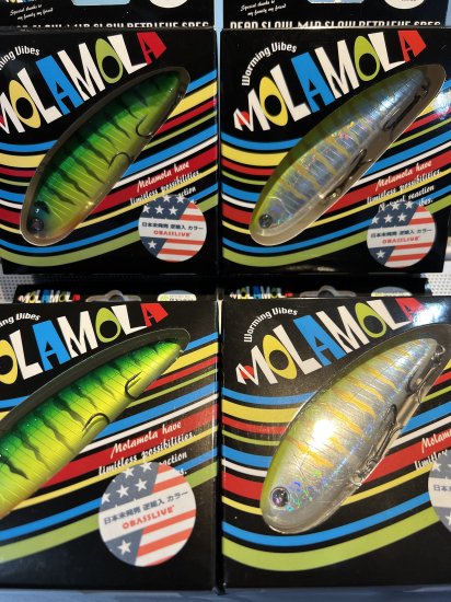 モラモラ日本未発売逆輸入カラー オーバスライブ - lure angle HAMA オンラインストア