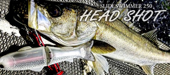 新色】new SLIDESWIMMER 250 HEAD SHOT スライドスイマー250ヘッドショット DEPS/デプス - lure angle  HAMA オンラインストア