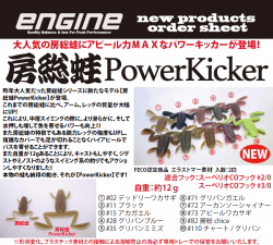 <img class='new_mark_img1' src='https://img.shop-pro.jp/img/new/icons14.gif' style='border:none;display:inline;margin:0px;padding:0px;width:auto;' />ڳ꡼ηʬо졪˼PowerKicker ENGINE/󥸥