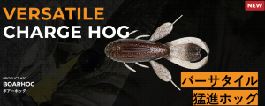 ڸͽճϡBOAR HOGܥۥå6ͽꥫ/ˣţӣ