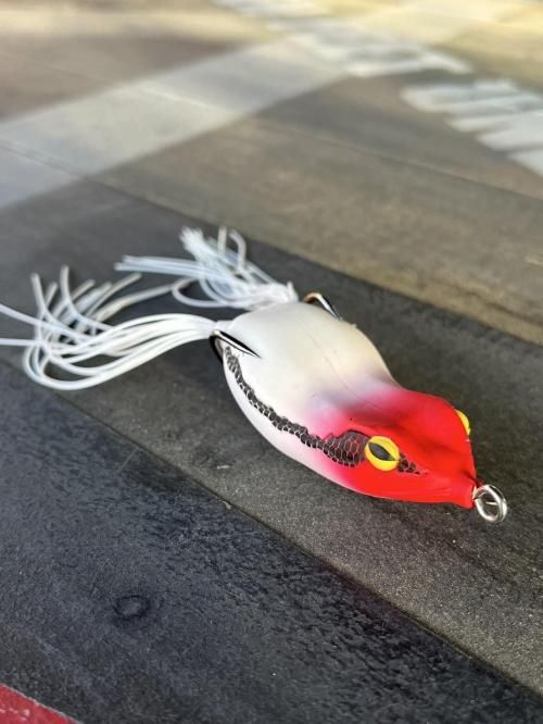 アイオビー　フォービー　BTフロッグ　10ftu Ten Feet Under（10FTU） / FORBEE（フォービー） | Tasf Tackle