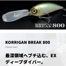 ͽ2025NEWۺǿΰإ֥ࡢEXǥץСꥬ֥쥤800DEPS/ǥץ