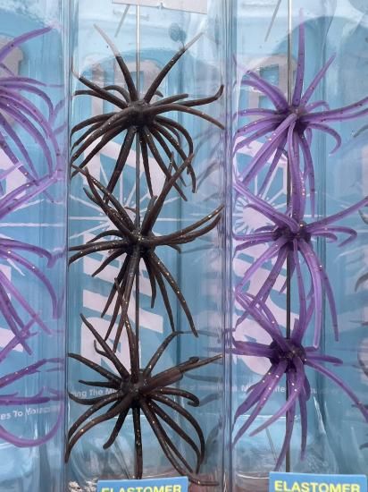 限定カラー登場】ソフトマテリアル 旧コイケ/Coike HIDEUP